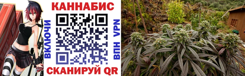 Каннабис AK-47 hydra ССЫЛКА Трубчевск